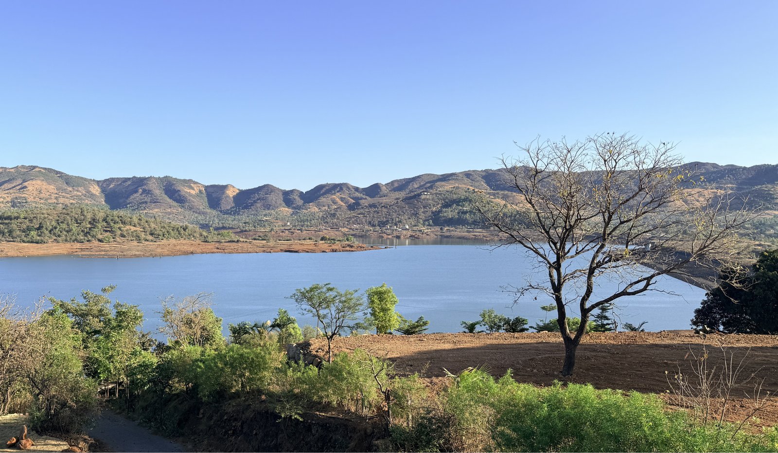 Fishing : In Gunjavni Dam or Panshet Backwaters